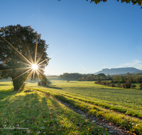 fileadmin/roha/images_galerie/orte_landschaft/Saaldorf/STIM-SAALD-NEUKL-0001-D-roha-Stimmung-Sonne-Saaldorf-Neukling.png