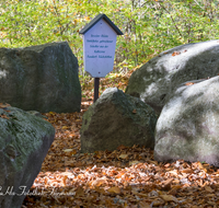 fileadmin/roha/images_galerie/orte_landschaft/Teisendorf/Geo-Park-Lehrpfad/TEI-GEOL-GAR-0008-D-roha-Teisendorf-Geologischer-Garten-Findlinge-Steine-Laub-Buche.png