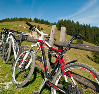 fileadmin/roha/images_galerie/Freizeit-Sport/Mountainbike-Radfahren/TEI-STO-MOUN-0006-D-roha-Teisendorf-Anger-Stoisser-Alm-Mountainbike.png