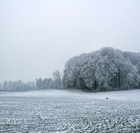 fileadmin/roha/images_galerie/Winter/WINT-AIN-STRASS-0002-D-roha-Winter-Ainring-Strass-Landschaft.png