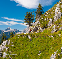 fileadmin/roha/images_galerie/Freizeit-Sport/Wandern/BGD-JENN-WAN-0010-D-roha-Berchtesgaden-Jenner-Watzmann-Hundstod-wandern.png