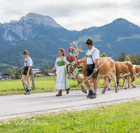 fileadmin/roha/images_galerie/brauchtum/Almabtrieb/Almabtrieb-Koenigssee/BR-ALMAB-BGD-2015-1219-1234-01-D-roha-Brauchtum-Almabtrieb-Koenigssee-Salet-Schoenau-Fuikl-Kuh-Glocke.png