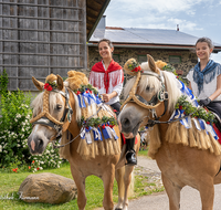 fileadmin/roha/images_galerie/brauchtum/Leonhardiritt/Holzhausen_01/Holzhausen-Ritt-2019/BR-PFRI-HOLZ-2019-0941-02-D-roha-Brauchtum-Pferdeumritt-Leonhardiritt-Holzhausen-Teisendorf-Pferd-Reiterin.png