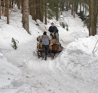 fileadmin/roha/images_galerie/Landwirtschaft/Forst-Holzknecht/HOLZKNE-HAM-2019-1415-02-D-roha-Holzknecht-Schlitten-Winter-Siegsdorf-Hammer-Winterzug.png