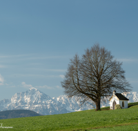 fileadmin/roha/Interessantes-in-Kurzform/ab-5-2022/KKKM-SAALD-SILL-0041-D-roha-Kapelle-Saaldorf-Sillersdorf-Hochstaufen-Zwiesel.png