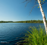 fileadmin/roha/images_galerie/orte_landschaft/Petting/Schoenramer-Moor/PE-SCHOENR-MOOR-0040-0-02-D-roha-Petting-Schoenramer-Moor-See.png