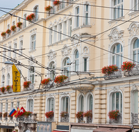 fileadmin/roha/images_galerie/architektur-Haeuser/SA-FASS-0010-D-roha-Salzburg-Haus-Fassade-Fenster-Fahne.png