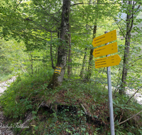 fileadmin/roha/images_galerie/orte_landschaft/Bayerisch-Gmain/BAY-GM-SPEIK-0008-1655-D-roha-Bayerisch-Gmain-Weissbach-Speik-Wanderweg-Schild.png