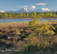 fileadmin/roha/images_galerie/orte_landschaft/Petting/Schoenramer-Moor/PE-SCHOENR-MOOR-0045-07-roha-Petting-Schoenramer-Moor-Moorsee-Untersberg-Hochstaufen-Zwiesel-Teisenberg.png