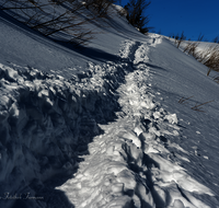 fileadmin/roha/images_galerie/wege/WEGE-WINT-TEISB-0005-D-roha-Weg-Winter-Teisenberg.png