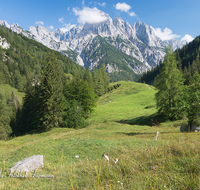 fileadmin/roha/images_galerie/orte_landschaft/Berchtesgaden/Nationalpark_Klausbachtal_Wimbachtal_-Klamm/BGD-NAT-BIND-0027-D-roha-Berchtesgaden-Nationalpark-Bindalm-Muehlsturzhoerner.png