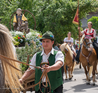 fileadmin/roha/images_galerie/brauchtum/Leonhardiritt/Holzhausen_01/Holzhausen-Ritt-2019/BR-PFRI-HOLZ-2019-1035-0-03-D-roha-Brauchtum-Pferdeumritt-Leonhardiritt-Holzhausen.png