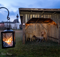 fileadmin/roha/images_galerie/brauchtum/Weihnachten-Laternenzauber-Anger/BR-WEIH-HOE-LA-2022-11-26-1640-D-roha-Brauchtum-Weihnachten-Hoeglwoerth-See-Laternenzauber.png