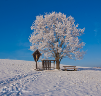 fileadmin/roha/images_galerie/kirche_religion/Teisendorf/Freidling-Berg-Stoisseralm/KKKM-TEIS-BERG-0013-5-D-roha-Weg-Kreuz-Teisendorf-Brunnmeister-Winter-Totenbretter-Weg-Bank.png