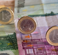 fileadmin/roha/images_galerie/dies_das/LANDA-GELD-EURO-0003-D-roha-Landart-Geld-Muenze-Geldschein.png