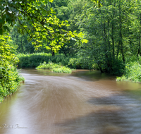 fileadmin/roha/images_galerie/wasser/LANDS-SAAL-SURH-SUR-0011-D-roha-Landschaft-Saaldorf-Surheim-Sur-Wasser-Fluss.png