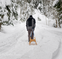 fileadmin/roha/images_galerie/Freizeit-Sport/SPO-WIN-SCHLIT-0016-D-roha-Sport-Winter-Schlitten-Schnee-Hammer-Weg.png