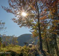 fileadmin/roha/images_galerie/Zaun-Bank/STIM-WEISSB-BANK-0003-D-roha-Stimmung-Sonne-Weissbach-Bank-herbst.png