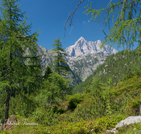 fileadmin/roha/images_galerie/orte_landschaft/Berchtesgaden/Nationalpark_Klausbachtal_Wimbachtal_-Klamm/BGD-NAT-FUNT-WATZ-0002-D-roha-Berchtesgaden-Nationalpark-Steinernes-Meer-Watzmann.png