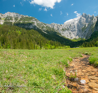 fileadmin/roha/images_galerie/wasser/BGD-SCHARITZ-0004-D-roha-Berchtesgaden-Schoenau-Scharitzkehl-Hoher-Goell-Bach-Wasser.png