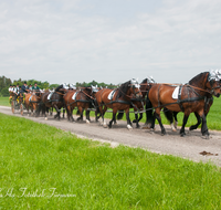 fileadmin/roha/images_galerie/brauchtum/Leonhardiritt/Holzhausen_01/Kaltblutfest/BR-PFRI-HOLZ-KALTBL-2015-1139-01-D-roha-Brauchtum-Kaltblut-Pferd-Kutsche-Holzhausen-Teisendorf-Zehner-Zug.png