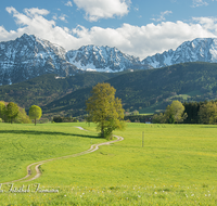 fileadmin/roha/images_galerie/orte_landschaft/Anger/Anger/Anger-Landschaft/LANDS-ANG-STEINH-0001-02-D-roha-Landschaft-Anger-Steinhoegl-Hochstaufen-Weg-Fruehling.png