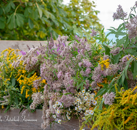 fileadmin/roha/images_galerie/brauchtum/Kraeuterbuschen/BR-KRAEUT-ANG-2018-0003-D-roha-Brauchtum-Kirche-Kraeuter-Buschen-binden-Blumen.png