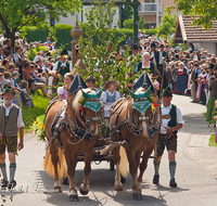 fileadmin/roha/images_galerie/brauchtum/Leonhardiritt/Holzhausen_01/BR-PFRI-HOLZ-0178-D-roha-Brauchtum-Pferdeumritt-Holzhausen-Teisendorf-Leonhardiritt-Pferd-Gespann.png