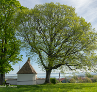 fileadmin/roha/images_galerie/orte_landschaft/Chiemsee/CHIE-0003-02-D-roha-Chiemsee-Panorama-Huettenkirchen-Kapelle.png