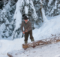 fileadmin/roha/images_galerie/Landwirtschaft/Forst-Holzknecht/HOLZKNE-HAM-0015-1214-02-D-roha-Holzknecht-Winter-Siegsdorf-Hammer-Winterzug.png