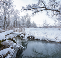 fileadmin/roha/images_galerie/orte_landschaft/Saaldorf/LANDS-SAAL-SUR-MITTG-WI-0015-D-roha-Landschaft-Saaldorf-Surheim-Mittergraben.png