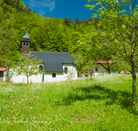 fileadmin/roha/images_galerie/orte_landschaft/Ruhpolding/RUH-URSCHL-0011-roha-Ruhpolding-Urschlau-Kirche-Blumenwiese-Streuobstwiese.png