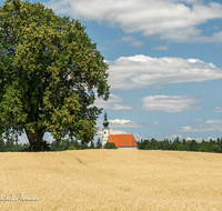 fileadmin/roha/images_galerie/orte_landschaft/Tittmoning/TITTM-ASTEN-0005-D-roha-Tittmoning-Asten-Kirche-Getreide-Feld.png