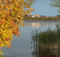 fileadmin/roha/images_galerie/orte_landschaft/Abtsdorf-Abtsdorfer-See/ABTS-SEE-0008-05-D-roha-Abtsdorfer-See-Leobendorf-Abtsdorf-Saaldorf-Laufen-Herbst.png