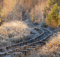 fileadmin/roha/images_galerie/orte_landschaft/Ainring/AINR-MOOR-0004-8-01-D-roha-Ainring-Moor-Torf-Boggerlbahn-Gleis-Herbst.png