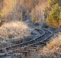 fileadmin/roha/images_galerie/orte_landschaft/Ainring/AINR-MOOR-0004-8-01-D-roha-Ainring-Moor-Torf-Boggerlbahn-Gleis-Herbst.png