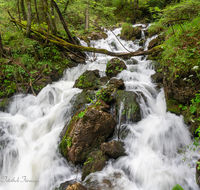 fileadmin/roha/images_galerie/orte_landschaft/Inzell/INZ-WEISSB-QUE-0010-D-roha-Inzell-Weissbach-Quelle.png