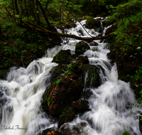 fileadmin/roha/images_galerie/orte_landschaft/Inzell/INZ-WEISSB-QUE-0010-D-roha-Inzell-Weissbach-Quelle.png