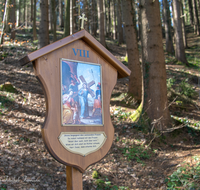 fileadmin/roha/images_galerie/kirche_religion/Anger/Hoeglwoerth-Kreuzweg/KKKM-ANG-HOEGLW-KR-8-0010-D-roha-Kreuzweg-Station-Anger-Hoeglwoerth-Wald.png