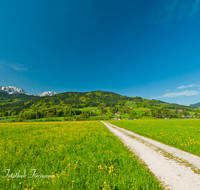 fileadmin/roha/images_galerie/wege/LANDS-ANG-PFI-0001-D-roha-Landschaft-Anger-Pfingstl-Blumenwiese-Weg.png