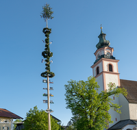 fileadmin/roha/images_galerie/brauchtum/Maibaum/Weildorf/BR-MAIB-WEIL-01-0001-D-roha-Brauchtum-Maibaum-Weildorf-Kirche-Zwiebelturm.png