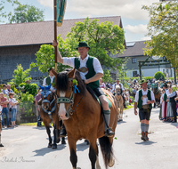 fileadmin/roha/images_galerie/brauchtum/Leonhardiritt/Holzhausen_01/Holzhausen-Ritt-2023/BR-PFRI-HOLZ-2023-1015-1-D-H-roha-Brauchtum-Leonhardiritt-Holzhausen-Teisendorf.png