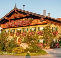 fileadmin/roha/images_galerie/orte_landschaft/Teisendorf/Weildorf/HAEU-BAU-0018-D-roha-Bauernhaus-Teisendorf-Seeleiten-Blumenschmuck-Obstgarten.png