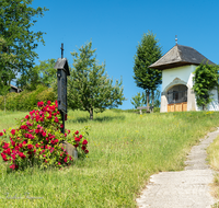 fileadmin/roha/images_galerie/kirche_religion/Ainring-Kreuzweg/KKKM-AINR-KR-10-0043-D-roha-Kreuzweg-Ainring-Ulrichshoegl-Rose-Meisterkapelle.png