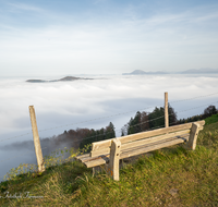 fileadmin/roha/images_galerie/Zaun-Bank/LANDA-BANK-ANG-FUERM-0002-D-roha-Landart-Bank-Fuermannalm-Anger-Nebel.png