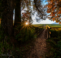 fileadmin/roha/images_galerie/stimmung-Sonne/STIM-SAAL-SIL-GES-0001-D-roha-Saaldorf-Sillersdorf-Gessenhart-Bruecke.png