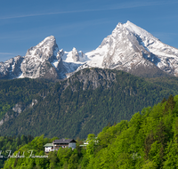 fileadmin/roha/images_galerie/orte_landschaft/Berchtesgaden/Watzmann/BGD-WATZ-0035-D-roha-Berchtesgaden-Watzmann-Gipfel-Schnee.png