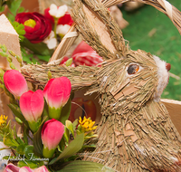 fileadmin/roha/images_galerie/brauchtum/Ostern/BR-OST-HAS-0008-D-roha-Brauchtum-Ostern-Osterhase.png