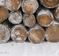 fileadmin/roha/images_galerie/Landwirtschaft/Forst-Holzknecht/HOLZKNE-HAM-DET-0001-02-D-roha-Holzknecht-Winter-Baumstamm-Ganter-Siegsdorf-Hammer-Winterzug.png