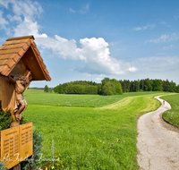 fileadmin/roha/images_galerie/wege/KKKM-TEIS-EGLH-0001-roha-Wegkreuz-Teisendorf-Eglham-Landwirtschaft-Landschaft-Moutianbike.png